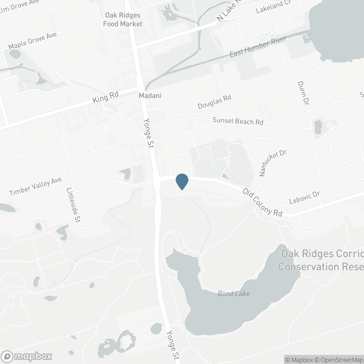 41 OLD COLONY ROAD, Richmond Hill, Ontario L4E 3V2